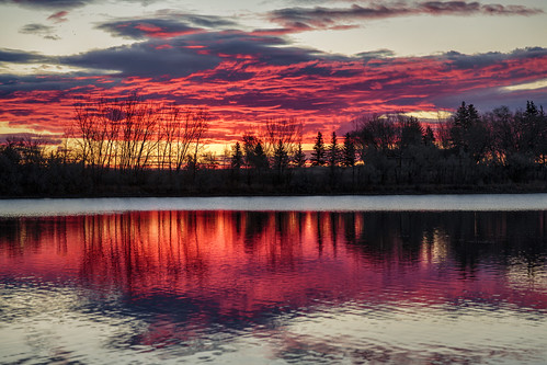 canada alberta newellcounty brooks staffordlake sunrise dawn sky cloud clouds lake water reeds