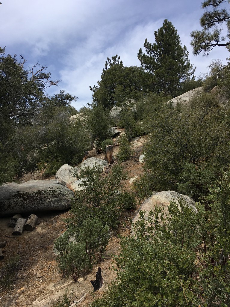 Mushroom Boulder