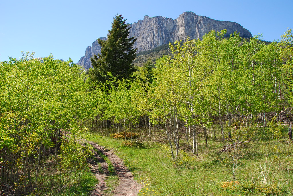 Bow Valley Wildland Provincial Park