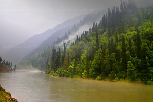 trees pakistan india water river flow neelam kel ajk azadkashmir jhelum neelamvalley indianheldkashmir