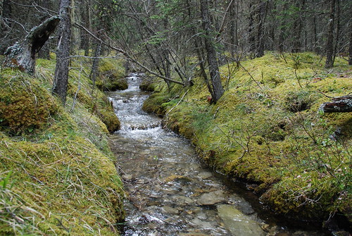 Stoney Creek PRA