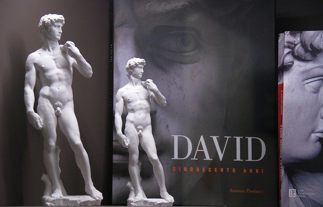 Firenze - Sometimes When You View Michelangelo's David, You Can End Up Seeing Double!