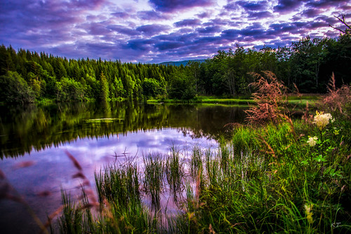 sørtrøndelag norway no nikon river evening nature landscape nidelva greatphotographers