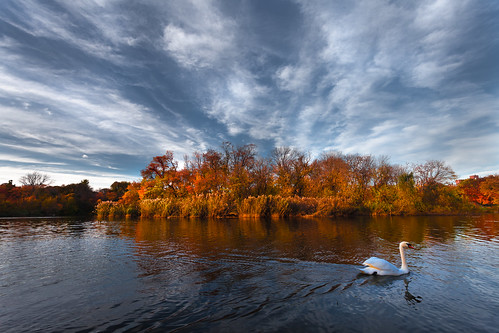 autumn sunset sky cloud lake newyork brooklyn swan prospectpark urbanpark
