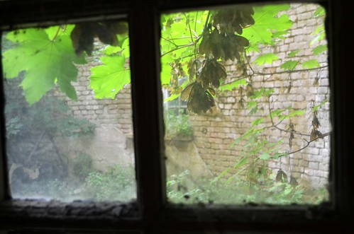 Window | by Valt3r Rav3ra - DEVOted!