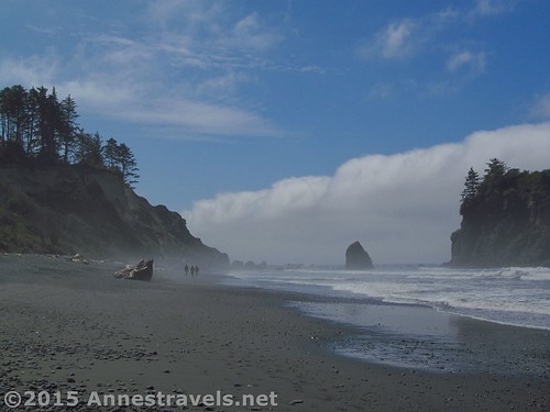 The mist clears away at Ruby Beach in Olympic National Park, Washington