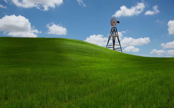 grass and windmill