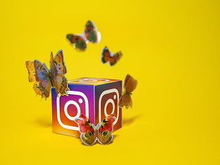 Social Media Butterfly - Instagram | by Visual Content