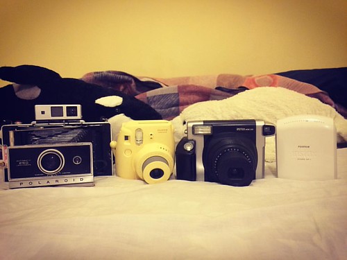 Instant cameras in Canada   Polaroid land camera model 250 Fujifilm instax mini 8 Fujifilm instax wide 300 Fujifilm instax share SP-1 Killer whales Orca Seal  #Vancouver #canada #camera #instantcamera #polaroid #fujifilm #polaroidlandcamera250 #fujifilmin | by Lion～LICHI