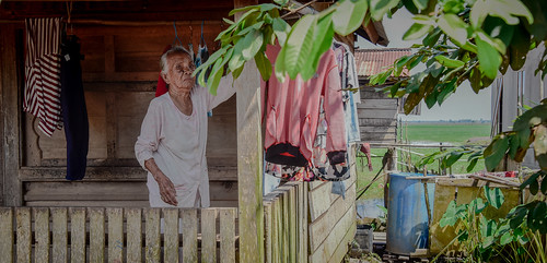 localpeople people villages communityforestry females livelihoods women womenhealth kabupatenindragirihulu riau indonesia id