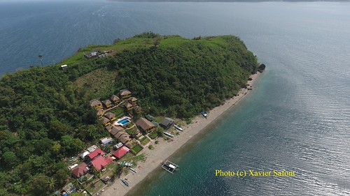 Buceo Anilao
