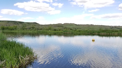 Battle River in Big Knife PP boat launch