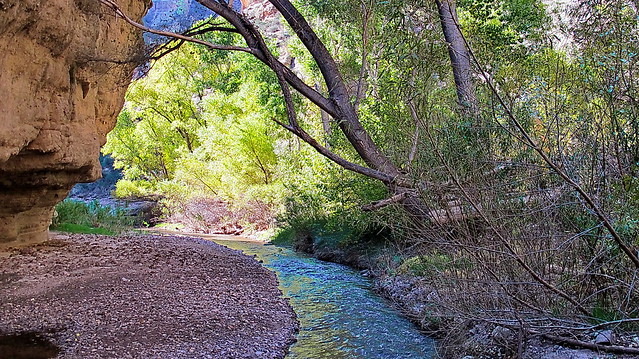 Aravaipa Creek
