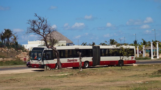 Cuban transit bus