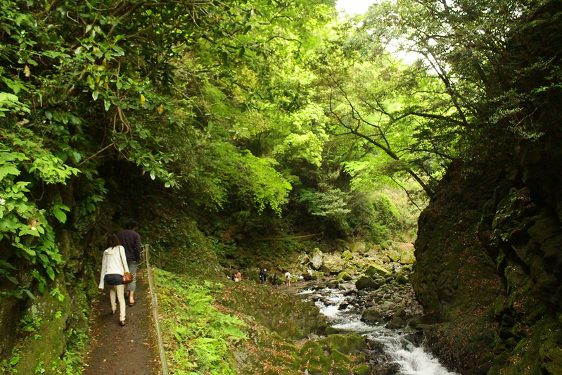 天岩戸神社