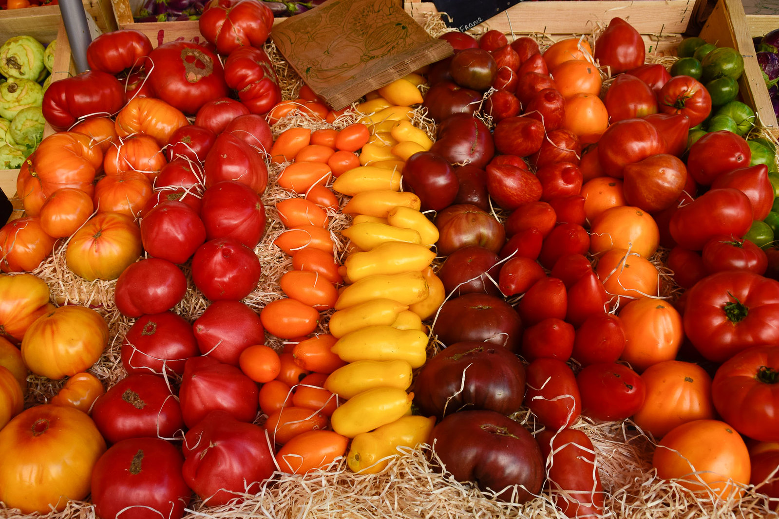 colors: tomato palette