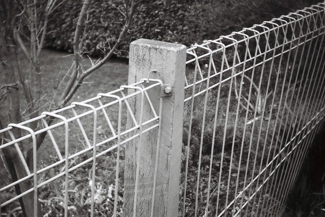 Fence in black-and-white