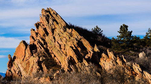 colorado nikon