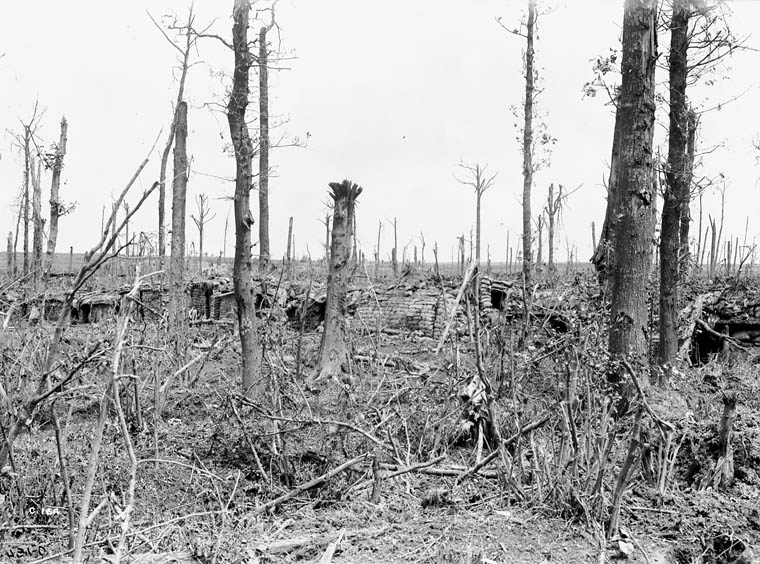 Dugouts in the Ypres Salient, July 1916 / Abris dans le saillant d’Ypres, en juillet 1916