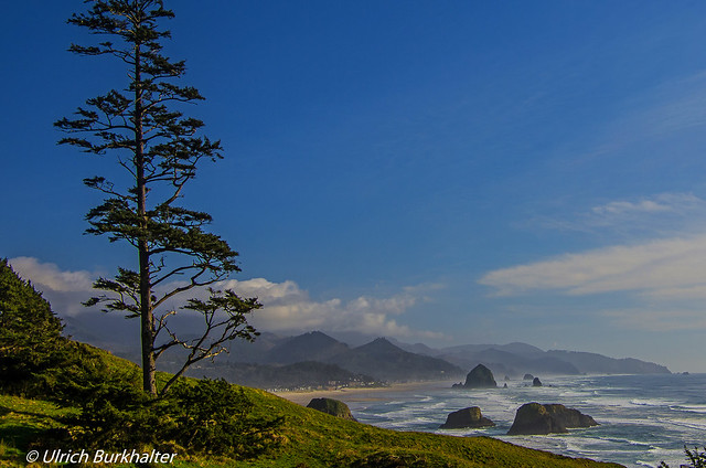 Ecola State park.