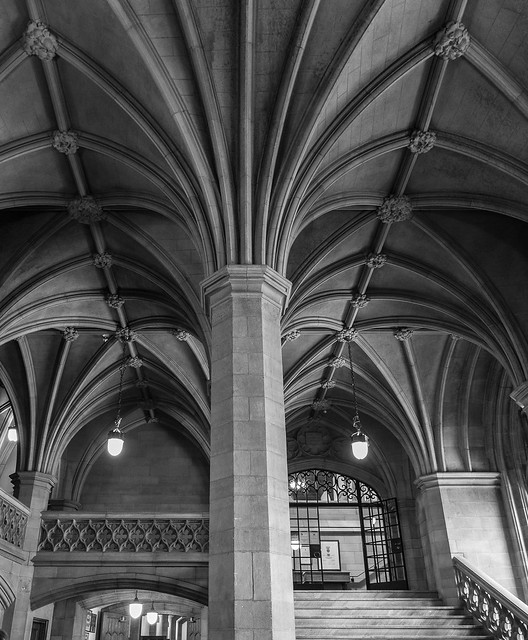Gothic ceiling-1218