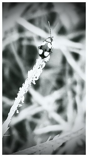 Relaxing........ | by unknownbiky0107