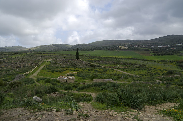 Volubilis, looking ENE from the top of the tumulus