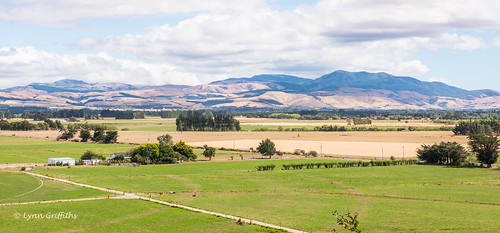 newzealand landscape wellington martinborough coutryside landscapephotography outdoorphotography