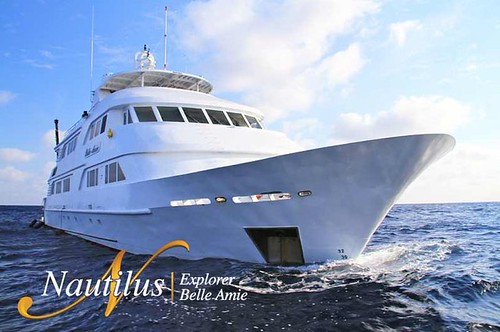 Nautilus Belle Amie