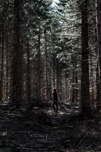 Au milieu des arbres by Fandral, 
