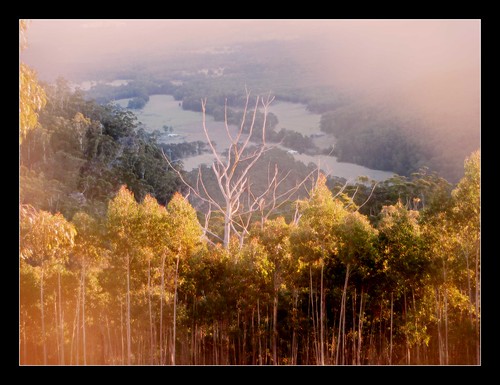 megalongvalley bluemountains valley mist trees countryside country australia nsw hydromajestichotel hydromajestic view