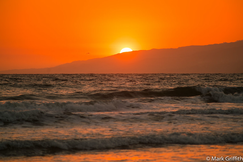 The Sun is Not Yellow