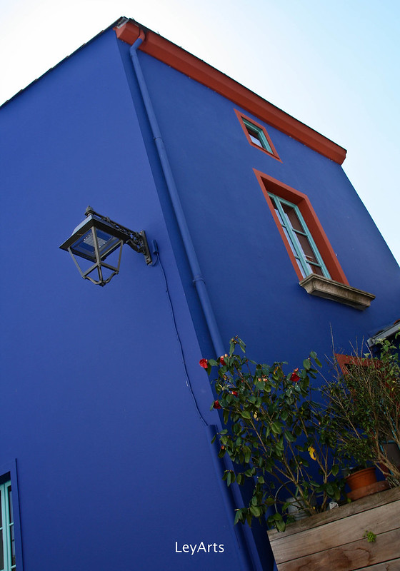 la maison bleue