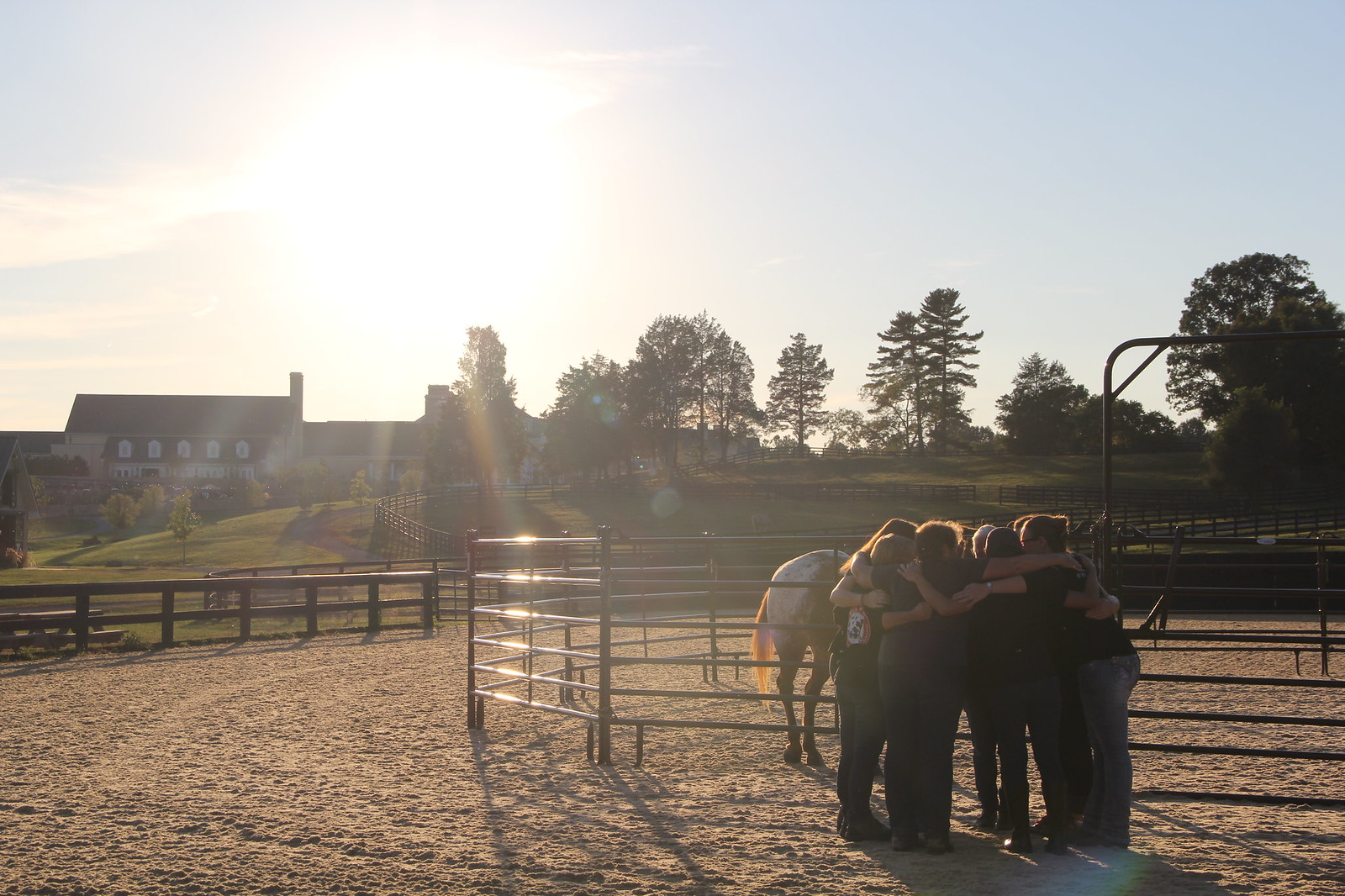 2015_T4T_Salamander Equine Therapy 60