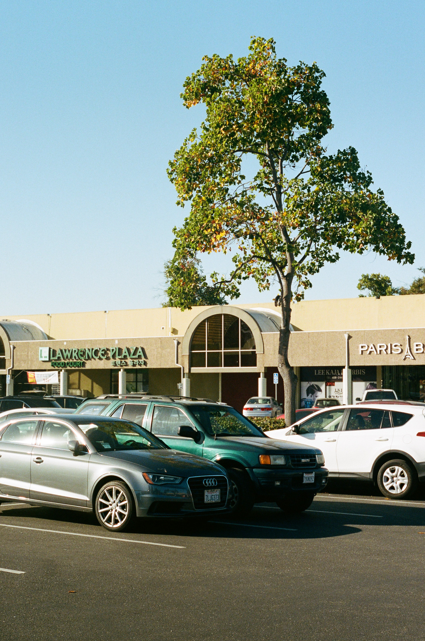 Lawrence Square Shopping Center