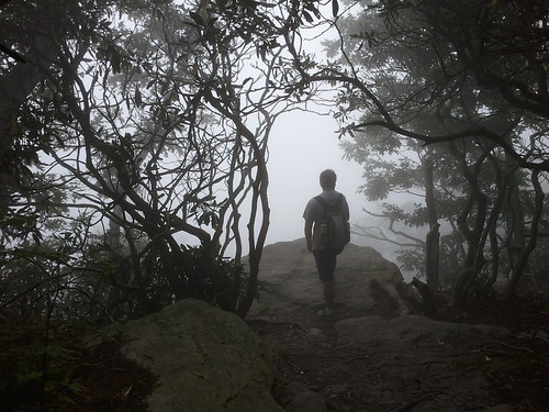 rock fog northcarolina hike gnarly blueridgemountains slab tangled mosescone
