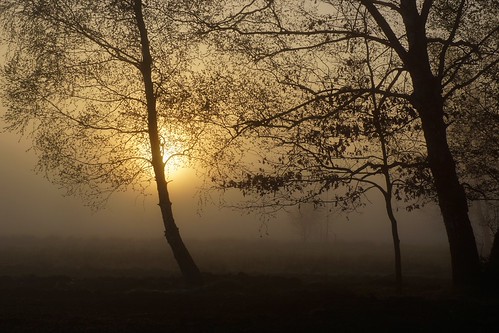 *** by pszcz9,                                mist nature fog sunrise spring poland polska wiosna przyroda mgła wsc