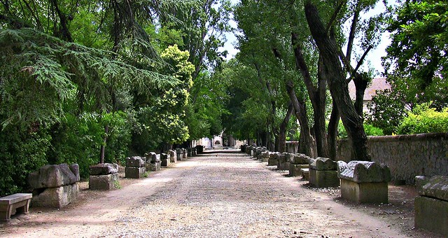 FRANCE - Provence , Arles, Nekropole Alyscamps, 500 Meter lange Platanen-Allee mit antiken Steinsarkophagen  ,12750/5200