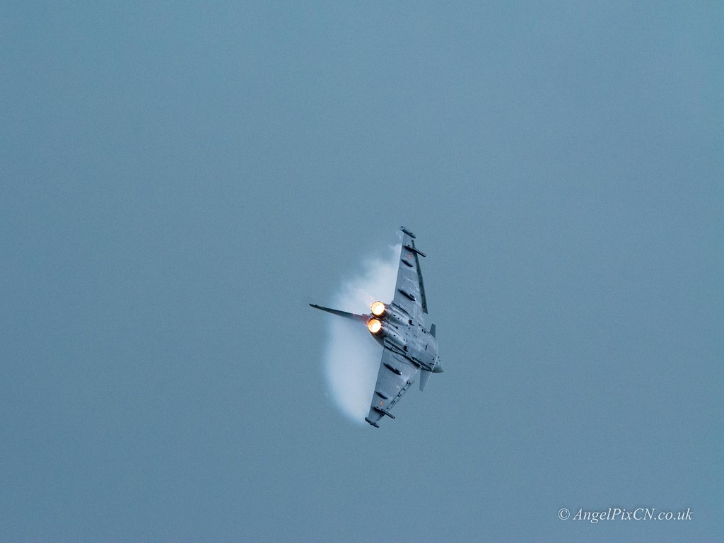 _DSC8518