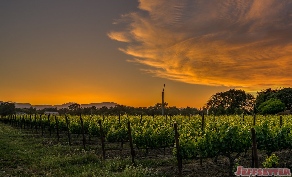 Sunset in Yountville, California (Napa Valley)
