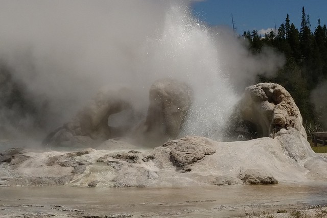 Grotto Geyser at Yellowstone National Park