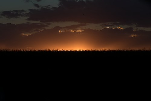 Morgan County (Colorado) Road 32, just north of MCR W.7, NE of Brush - 40°21'24" N 103°32'27" W - PLDL7485 by Paul L Dineen, sun sunset horizon morgancounty colorado nature bbb pinnacle bbbb minimalism topminimalism minimalis