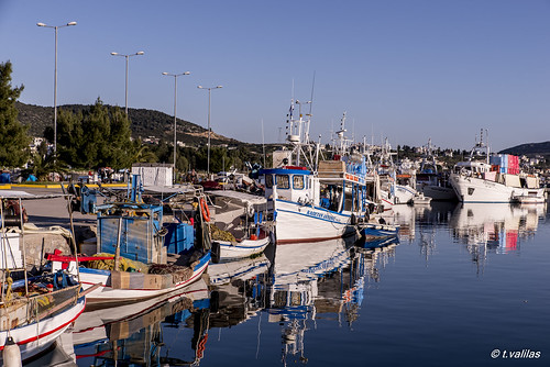 trees sea port reflections fishing greece fishingboats artaki evia euboea neaartaki