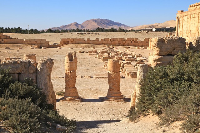 Ancient City Landscapes of Palmyra The UNESCO World Heritage Site Syria Middle East