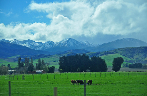 newzealand mountains