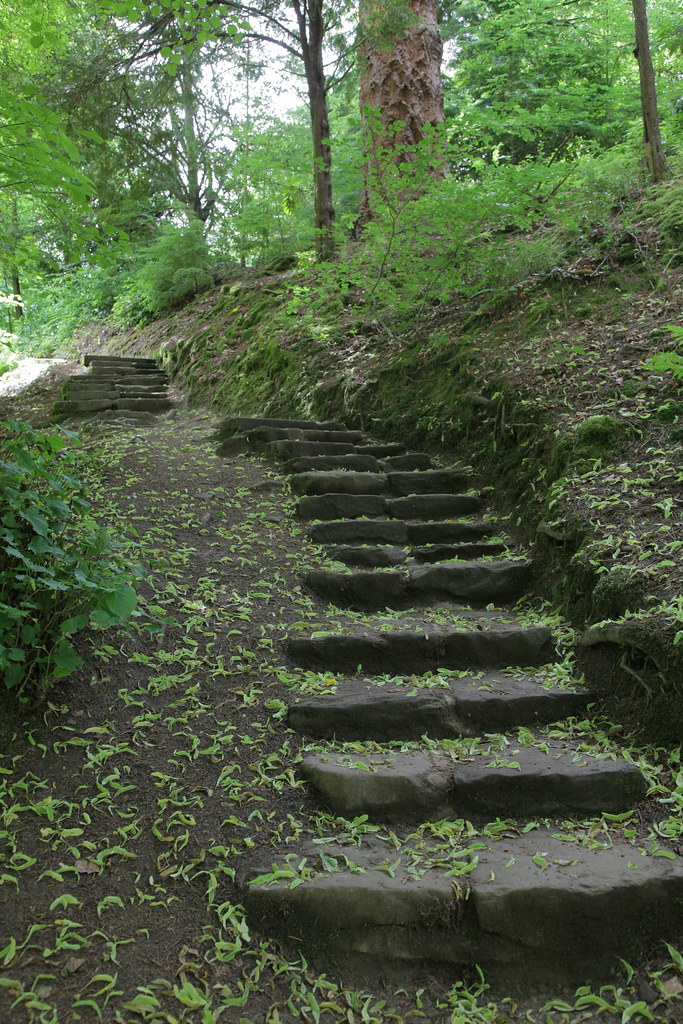 Woodland Steps