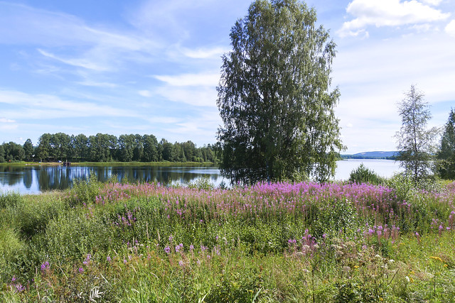 The river Ljusnan in Ljusdal in Sweden 27/7 2016.