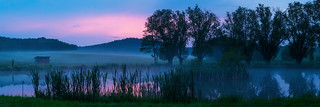 A Pond at Evening - Saxonia, Germany