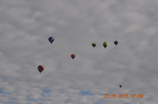 Hot Air Balloons Point Mallard
