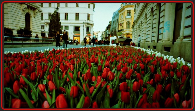 Spring evening in old Bucharest